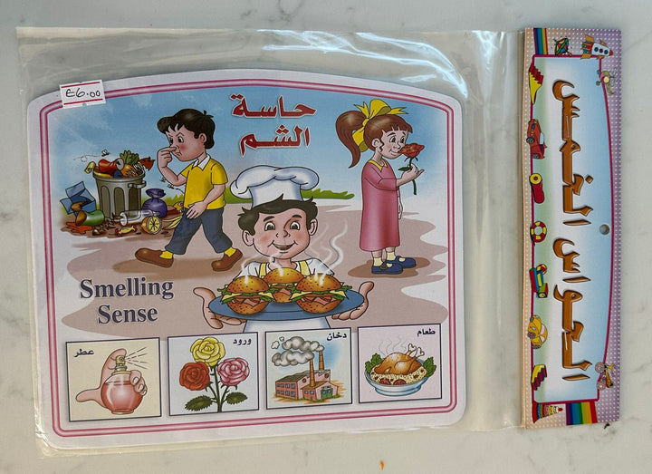 بطاقات الحواس الخمس