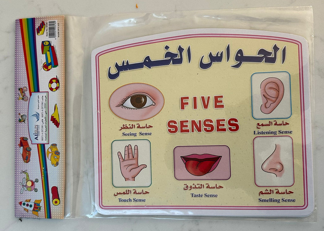 بطاقات الحواس الخمس